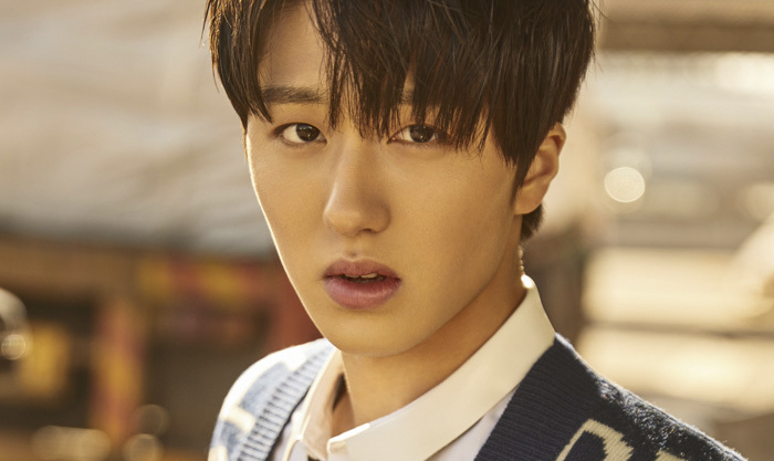 chani sky castle chani sky castle